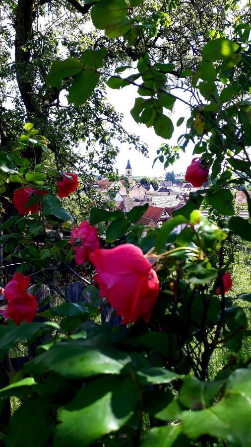 Chambres D'Hotes "La Petite Vallee" Rott Dış mekan fotoğraf